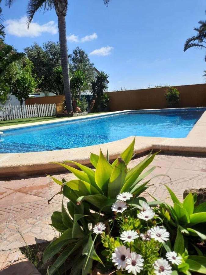Chalet la Huerta con piscina chimenea y Wifi Conil De La Frontera Exterior foto