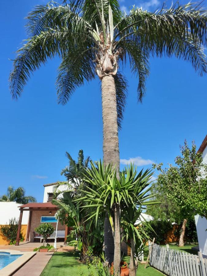 Chalet la Huerta con piscina chimenea y Wifi Conil De La Frontera Exterior foto