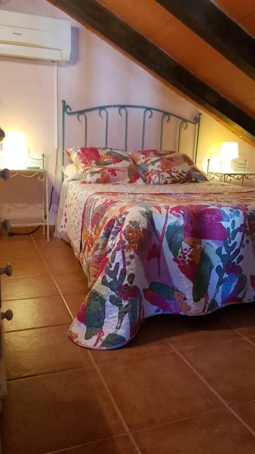 Chalet la Huerta con piscina chimenea y Wifi Conil De La Frontera Exterior foto